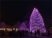 Virtual Town Christmas Tree Lighting