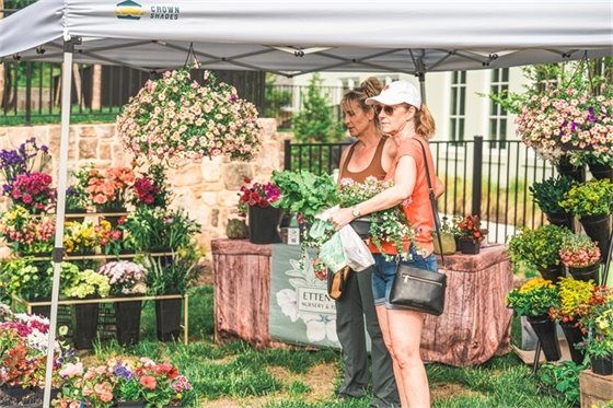 Town enewsletter image