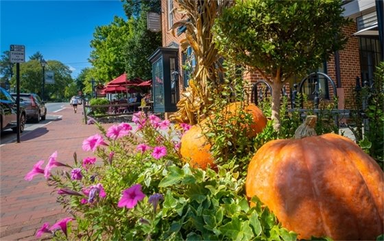 Town enewsletter image