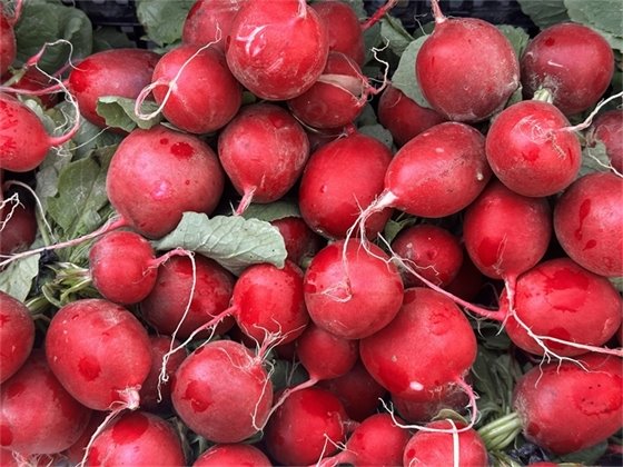 Town enewsletter image