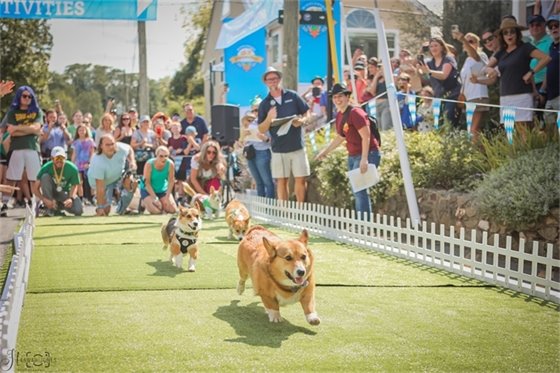 Town enewsletter image