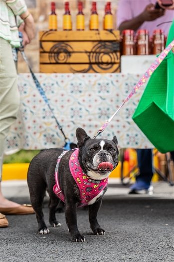 Town enewsletter image