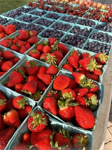 Town enewsletter image