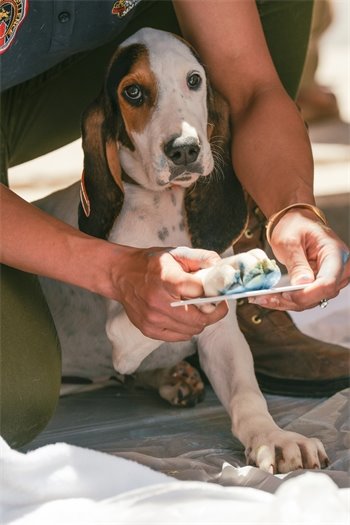 Town enewsletter image