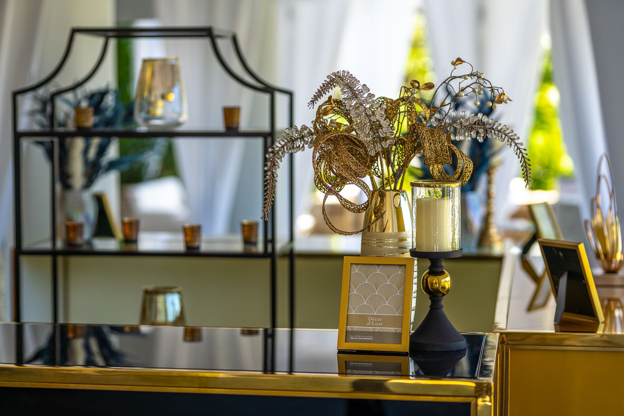 Salamander Family Reunion 2022-3