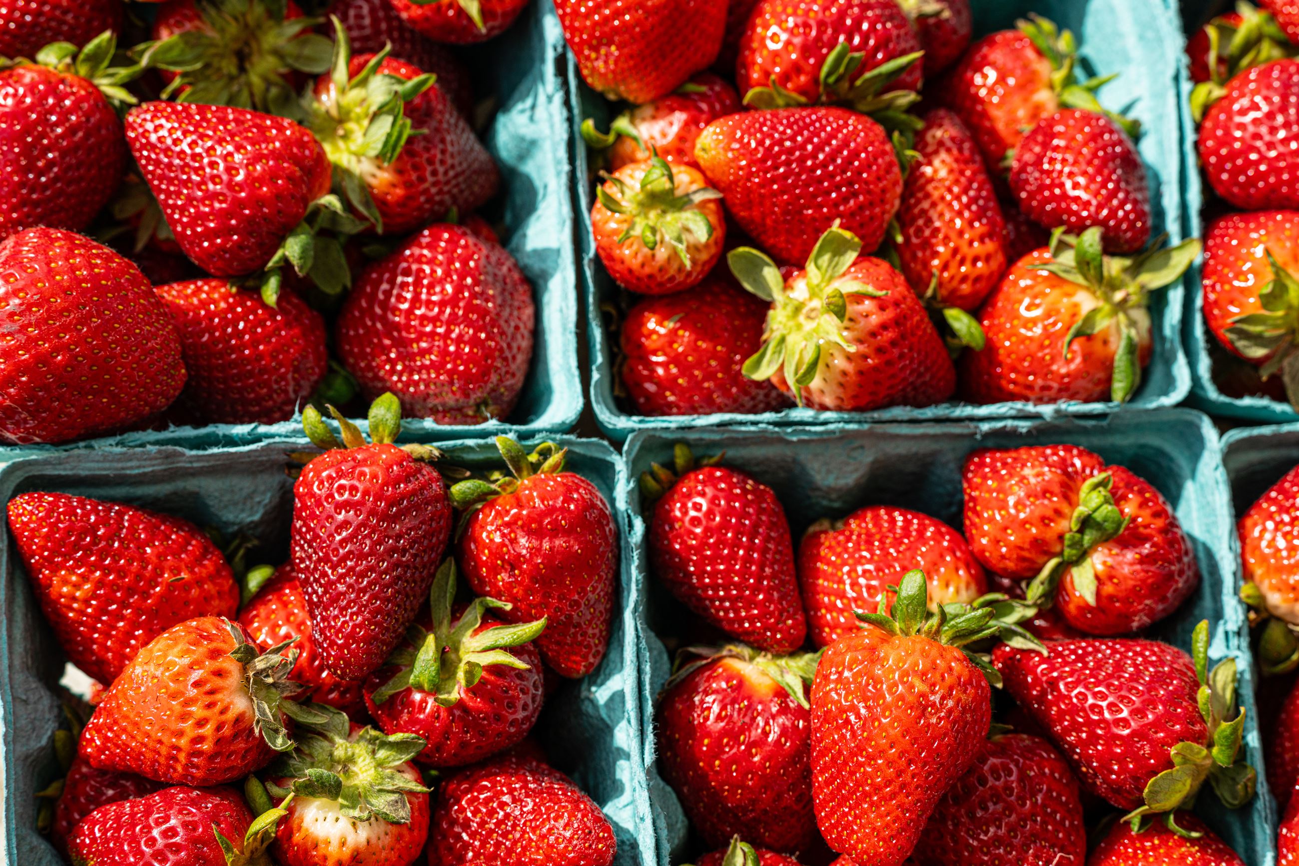 Middleburg 5.11.24-6