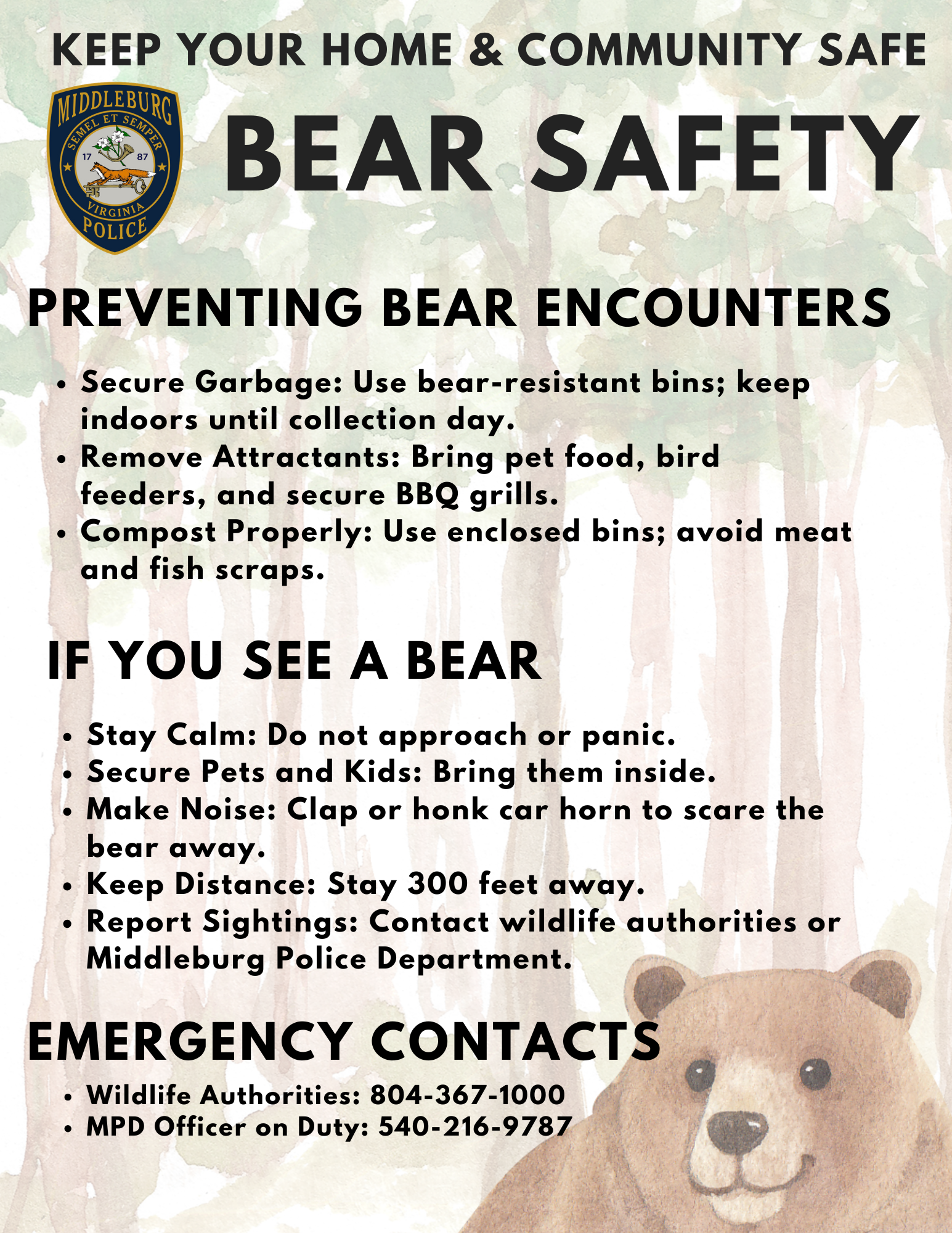 BEAR SAFETY (4)